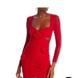 BARDOT Cherry Red Pippa Mesh Rose Mini Dress